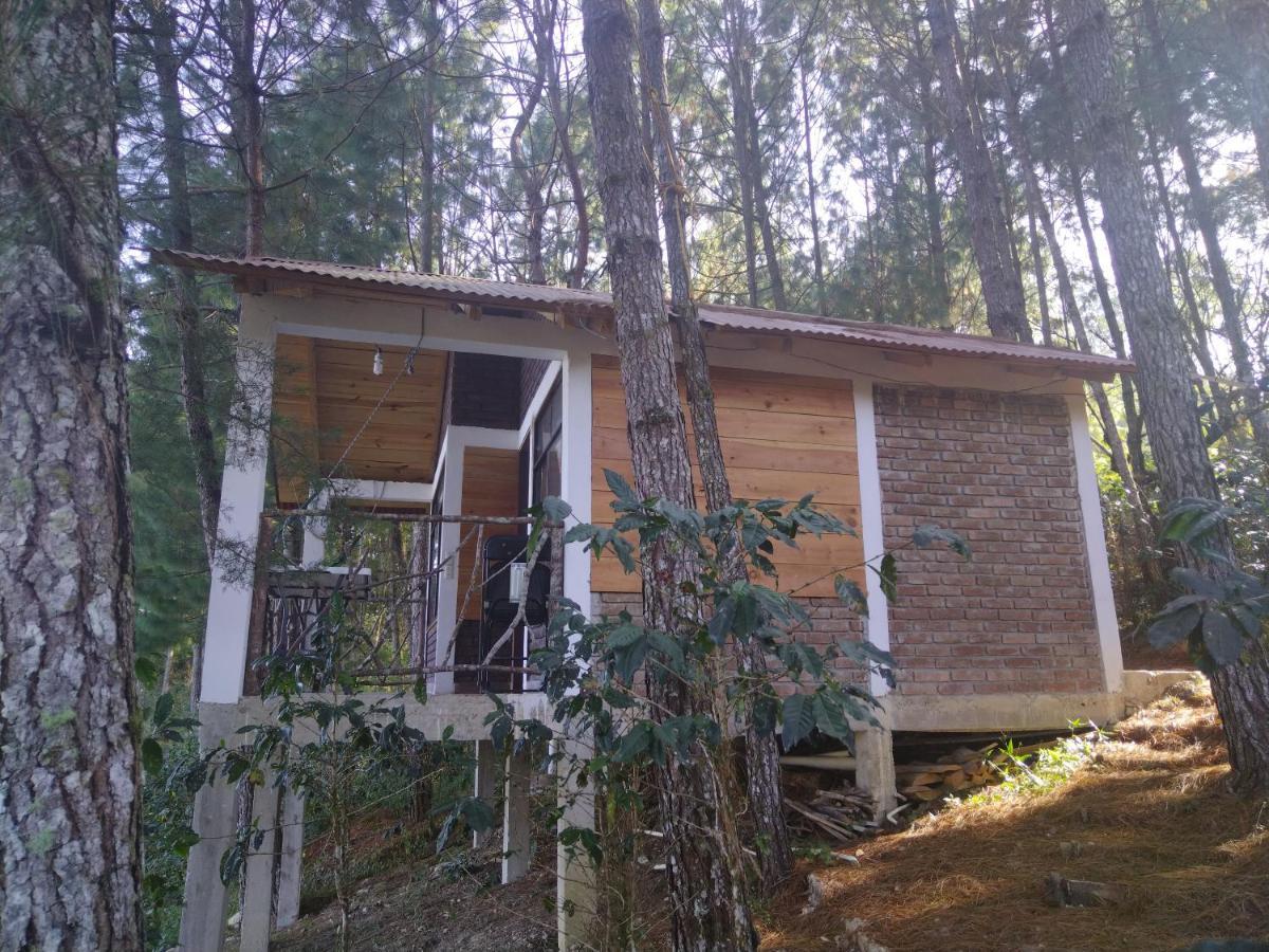 Cabanas Junkolal Tziscao Santiago  Rom bilde